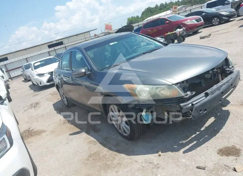 2011 Honda Accord фото
