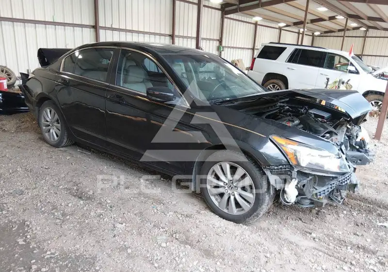 2011 Honda Accord photo
