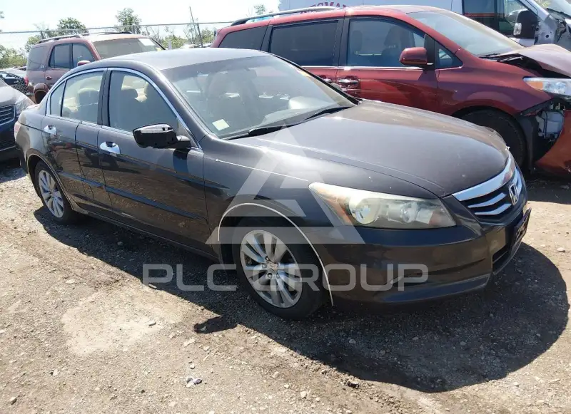 2011 Honda Accord фото