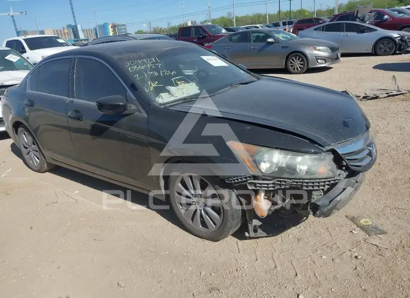 2011 Honda Accord фото