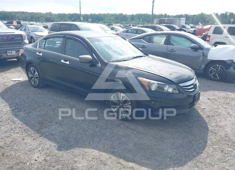 2011 Honda Accord photo
