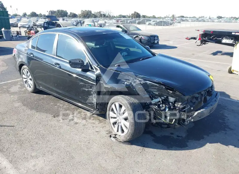 2011 Honda Accord фото