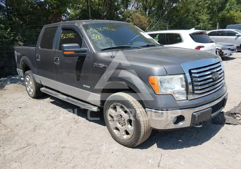 2011 Ford F-150 photo