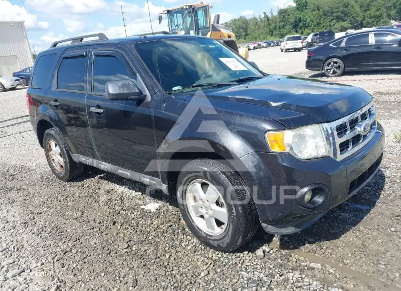 2011 Ford ESCAPE photo