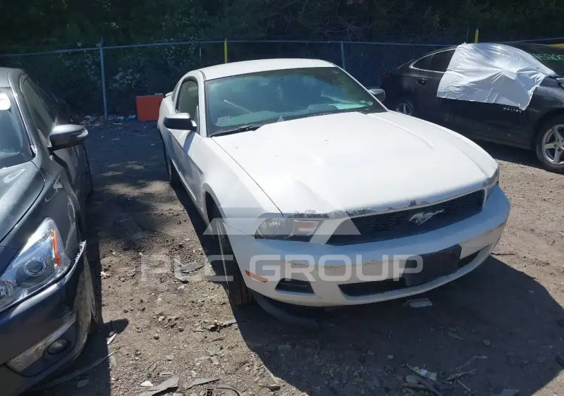 2011 Ford MUSTANG photo