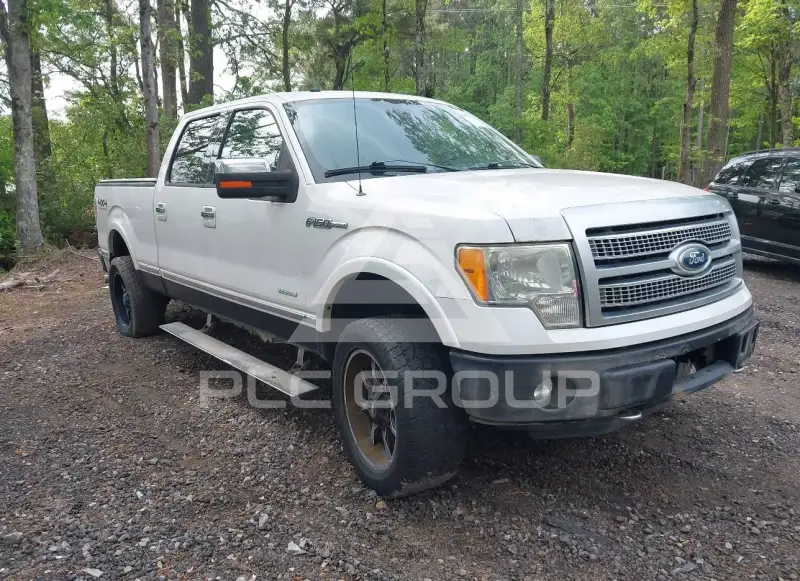 2011 Ford F-150 photo