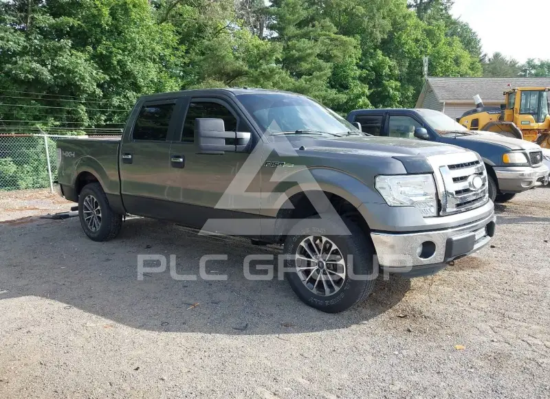 2011 Ford F-150 photo