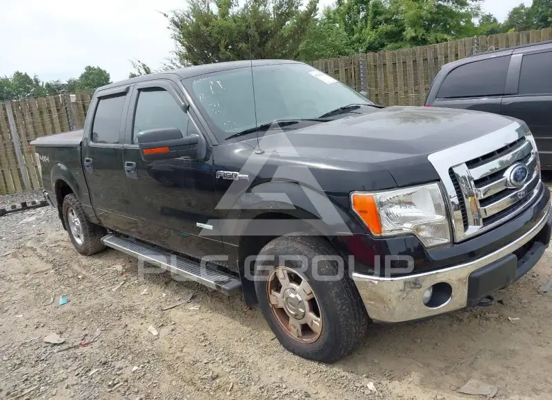2011 Ford F-150 photo