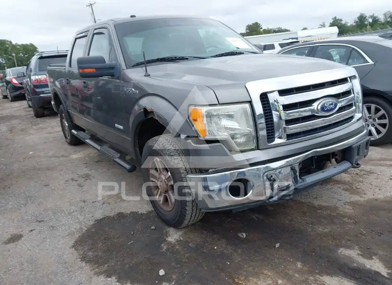 2011 Ford F-150 photo