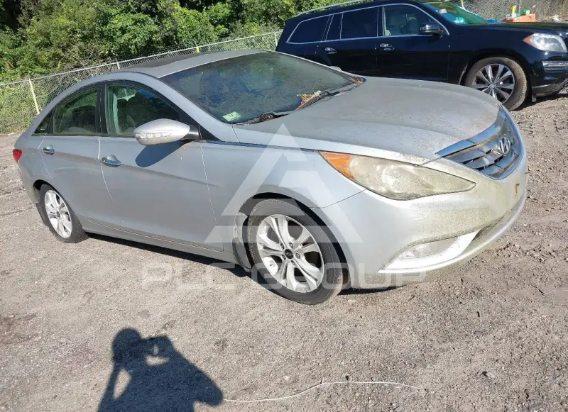 2011 Hyundai Sonata фото