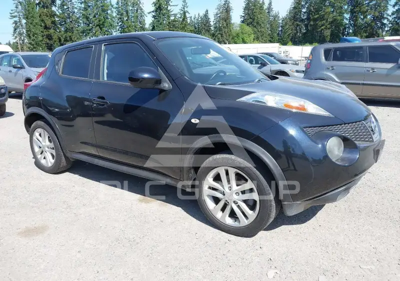 2012 Nissan Juke фото