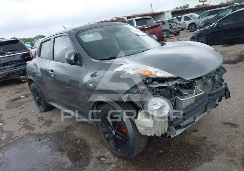 2012 Nissan Juke photo