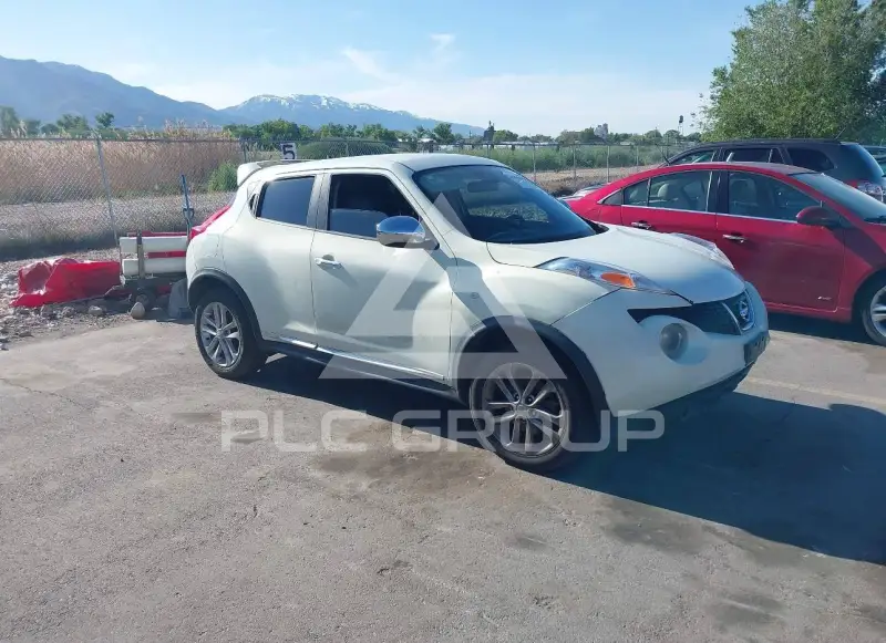2012 Nissan Juke photo