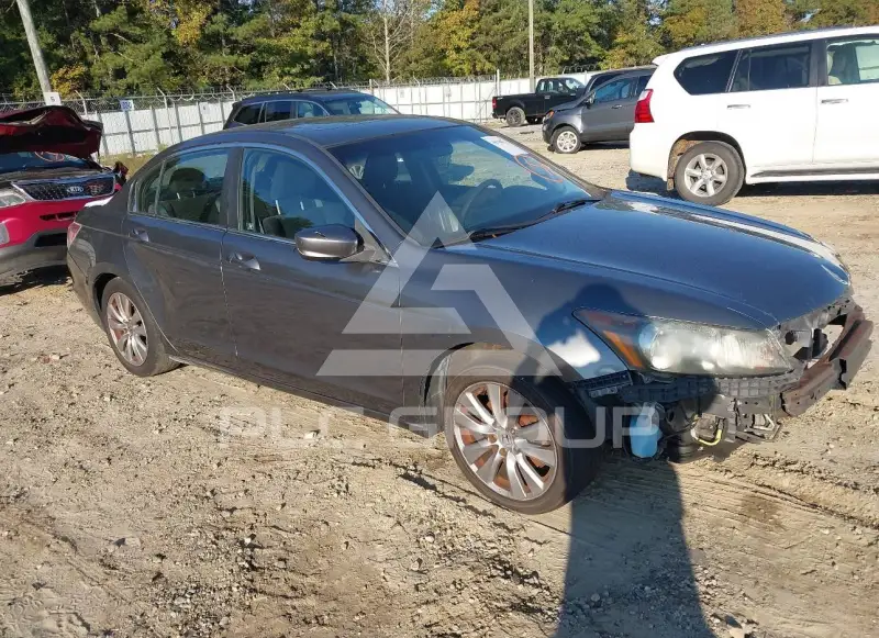 2012 Honda Accord photo