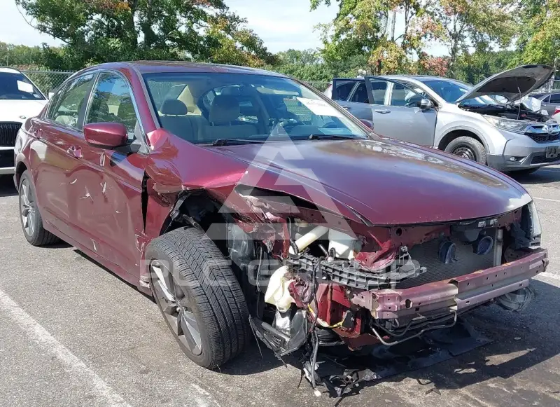 2012 Honda Accord photo