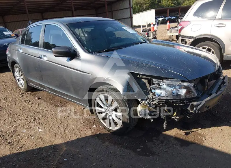 2012 Honda Accord photo