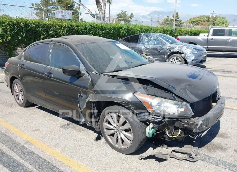 2012 Honda Accord фото