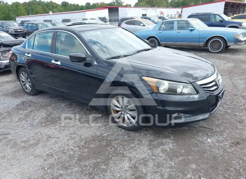 2012 Honda Accord photo