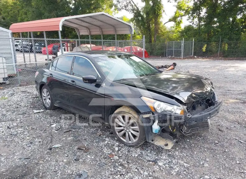 2012 Honda Accord photo