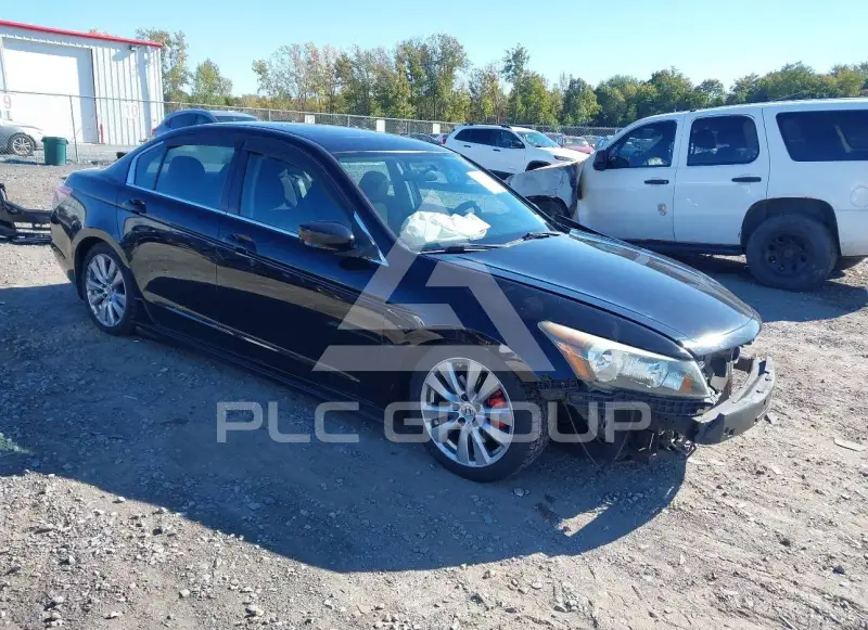2012 Honda Accord photo
