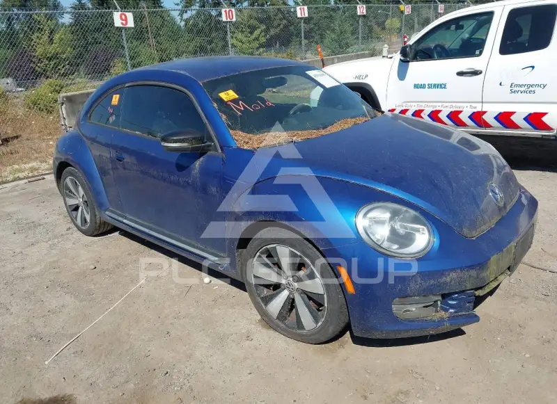2012 Volkswagen BEETLE фото
