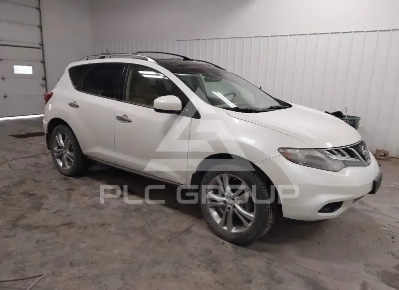 2013 Nissan MURANO photo