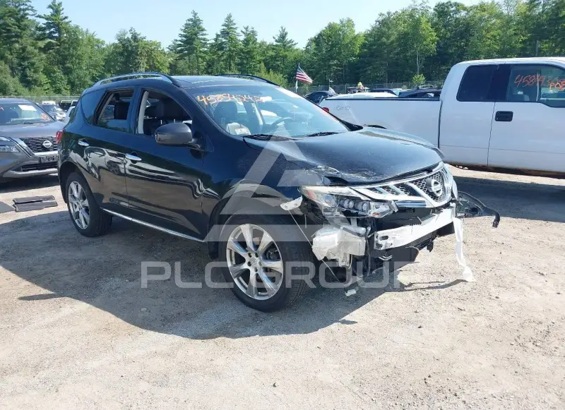 2013 Nissan MURANO photo