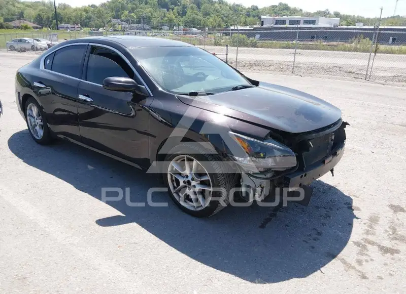 2013 Nissan MAXIMA photo