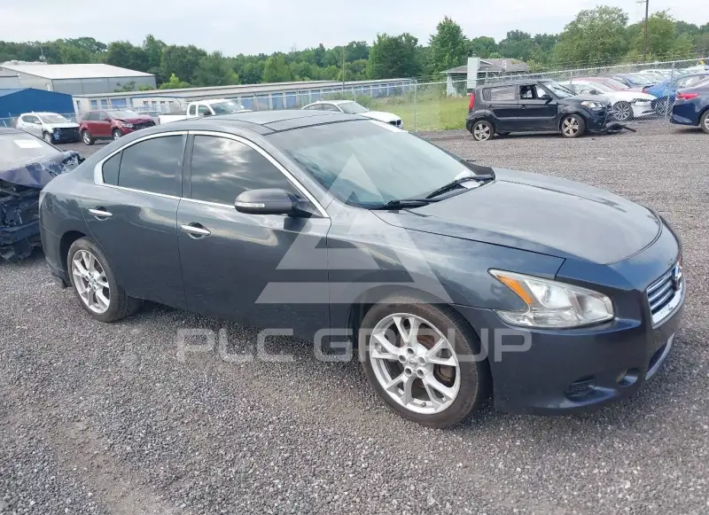 2013 Nissan MAXIMA photo