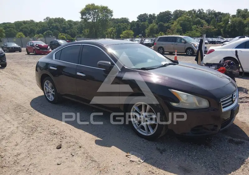 2013 Nissan MAXIMA photo