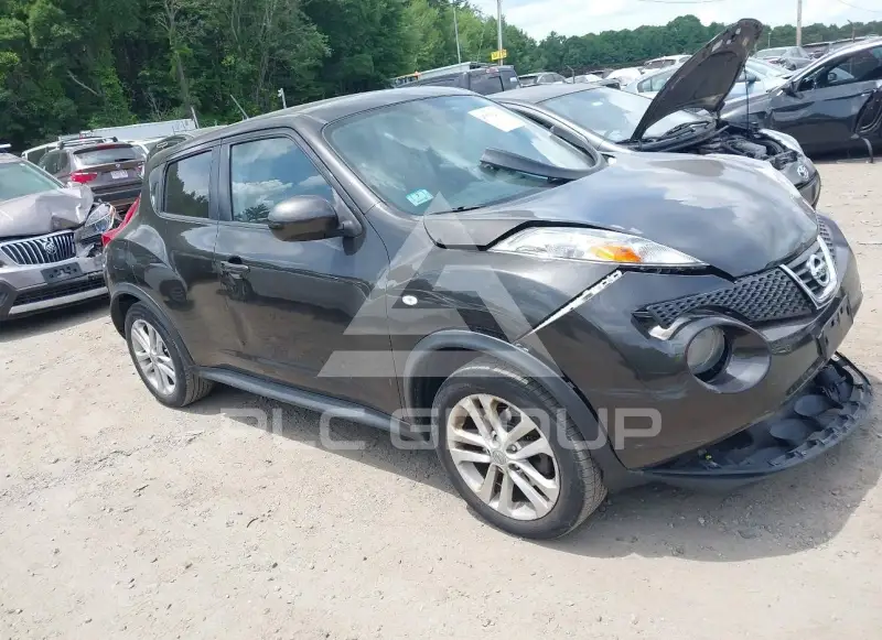 2013 Nissan Juke photo