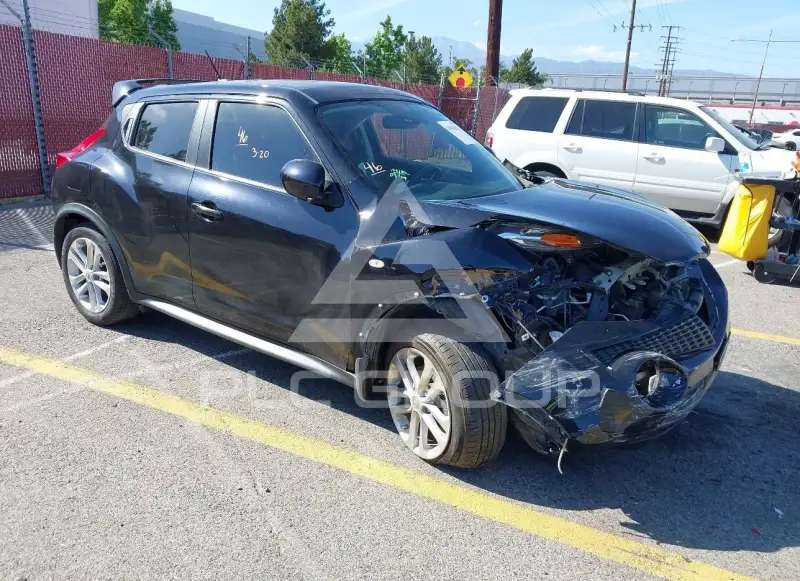 2013 Nissan Juke photo