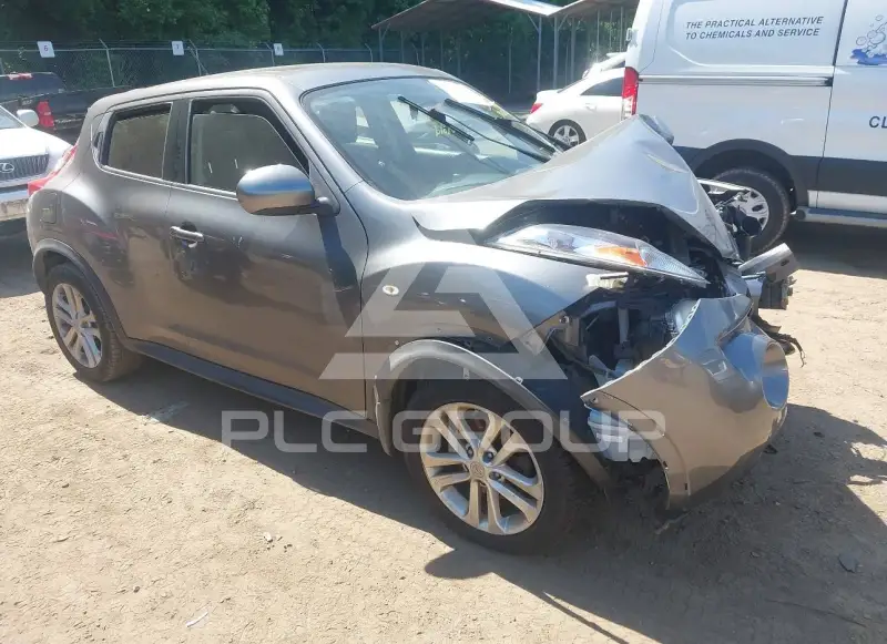2013 Nissan Juke фото