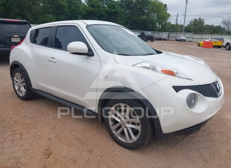 2013 Nissan Juke photo