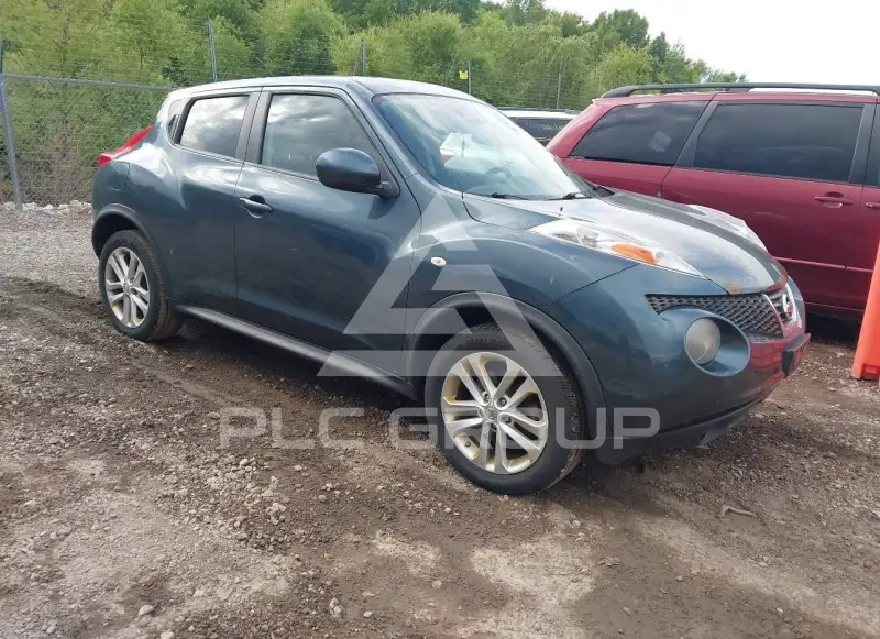 2013 Nissan Juke photo