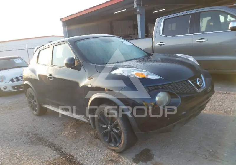 2013 Nissan Juke photo