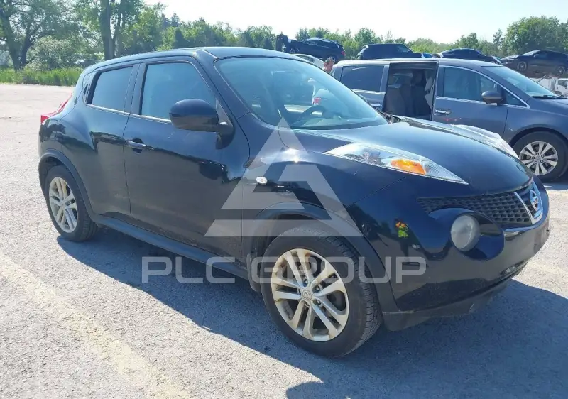 2013 Nissan Juke photo