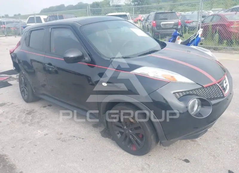 2013 Nissan Juke photo