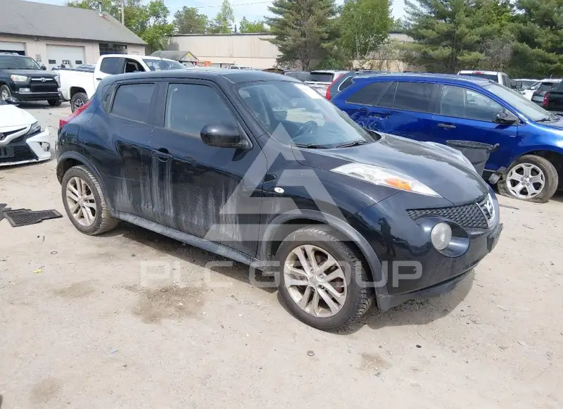 2013 Nissan Juke фото