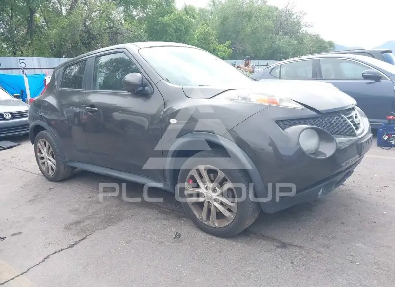 2013 Nissan Juke фото