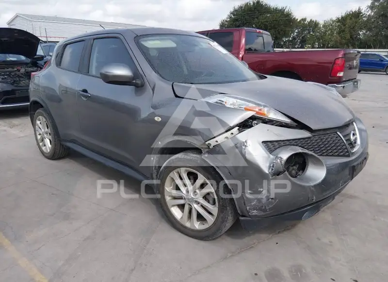 2013 Nissan Juke photo
