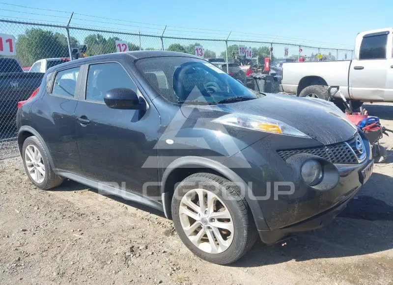 2013 Nissan Juke photo