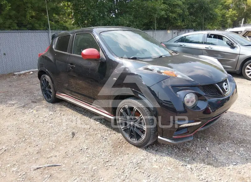 2013 Nissan Juke фото