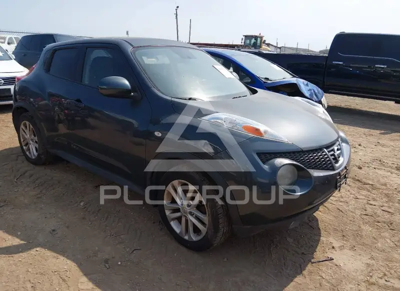 2013 Nissan Juke фото