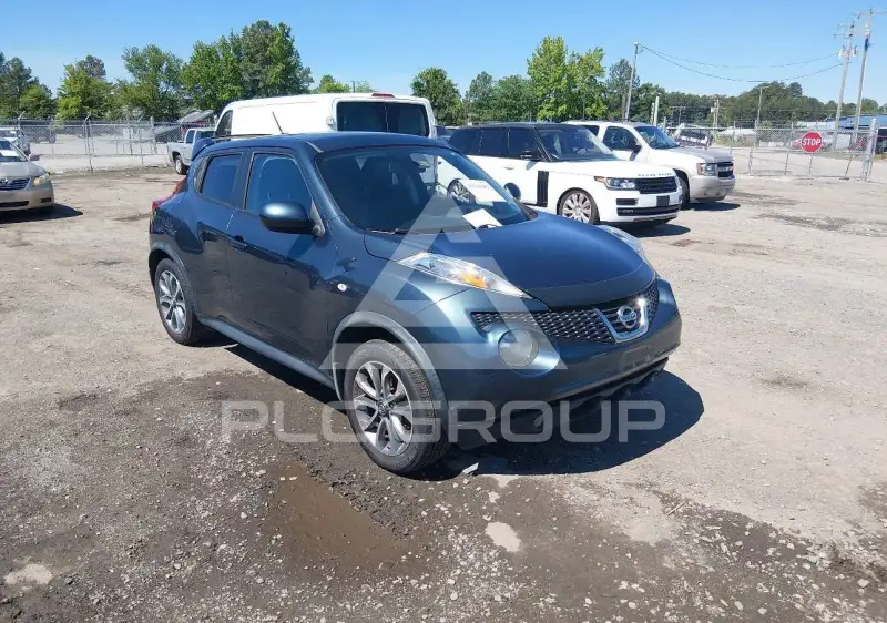 2013 Nissan Juke photo