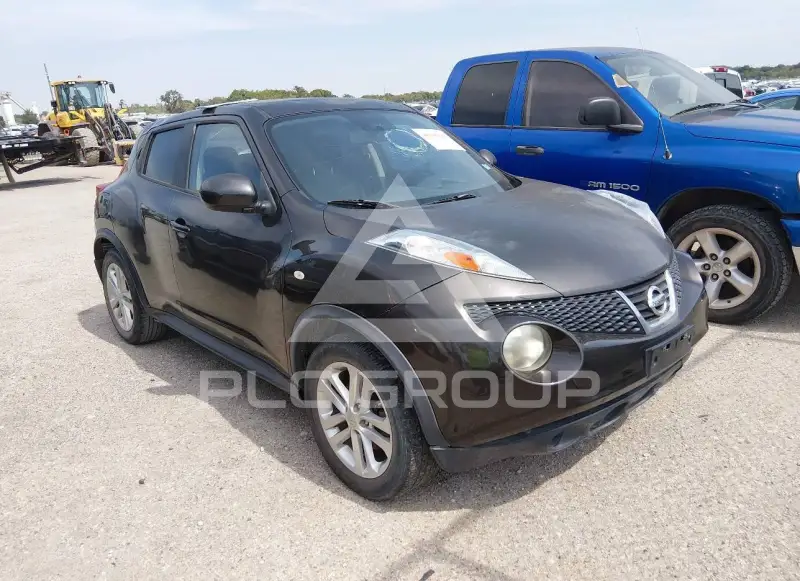 2013 Nissan Juke photo