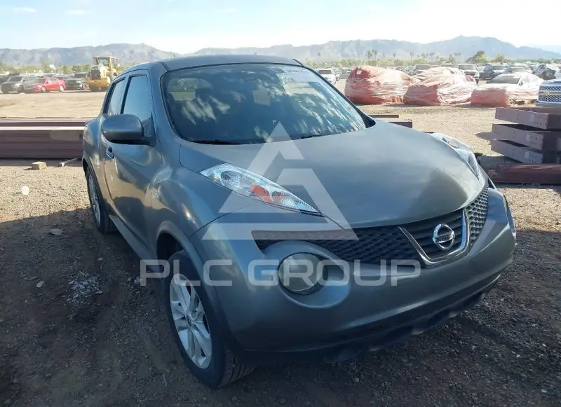 2013 Nissan Juke photo