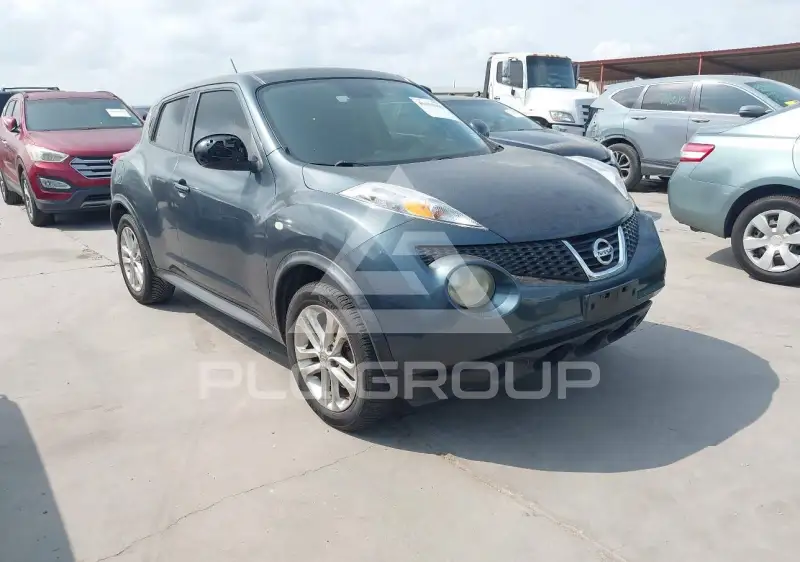 2013 Nissan Juke photo