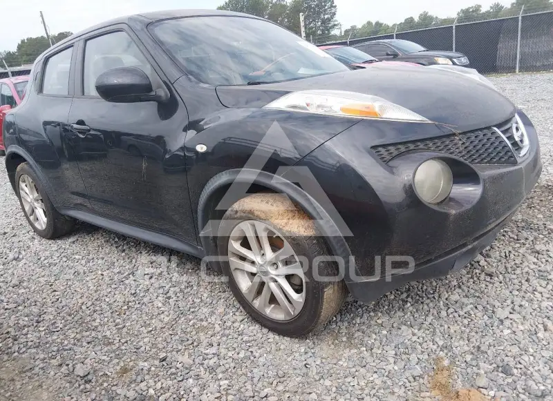 2013 Nissan Juke photo