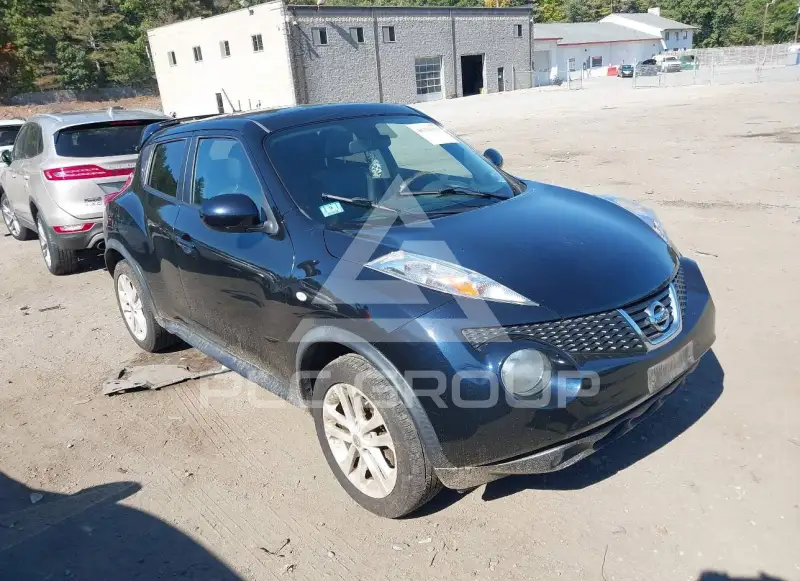 2013 Nissan Juke photo